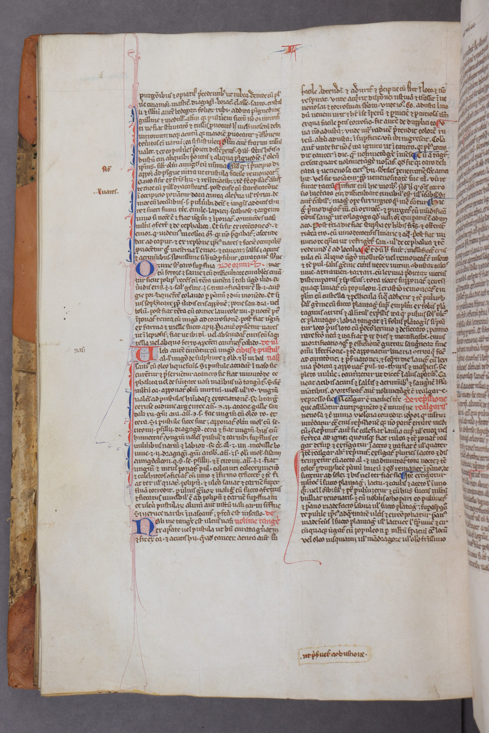 Folio 71 verso
